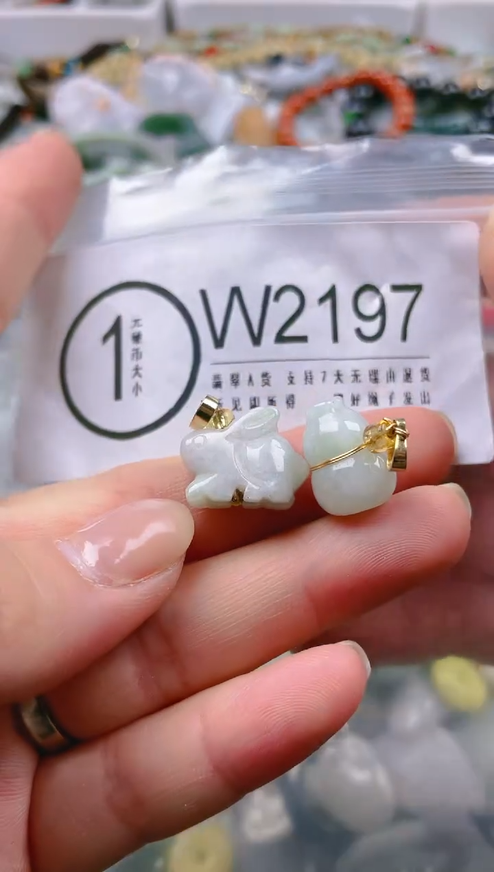 【闪购商品】翡翠颈饰未镶嵌/W/翡翠A货一图一物