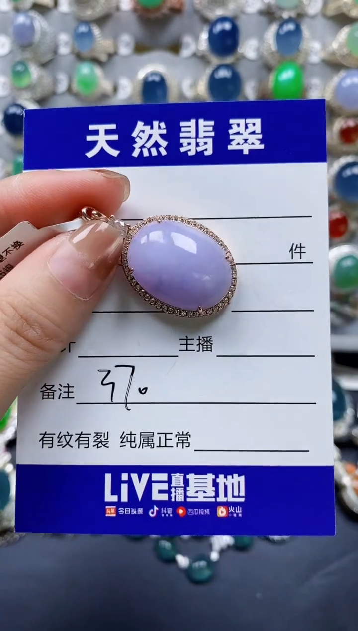 翡翠银S925镶嵌颈饰0370