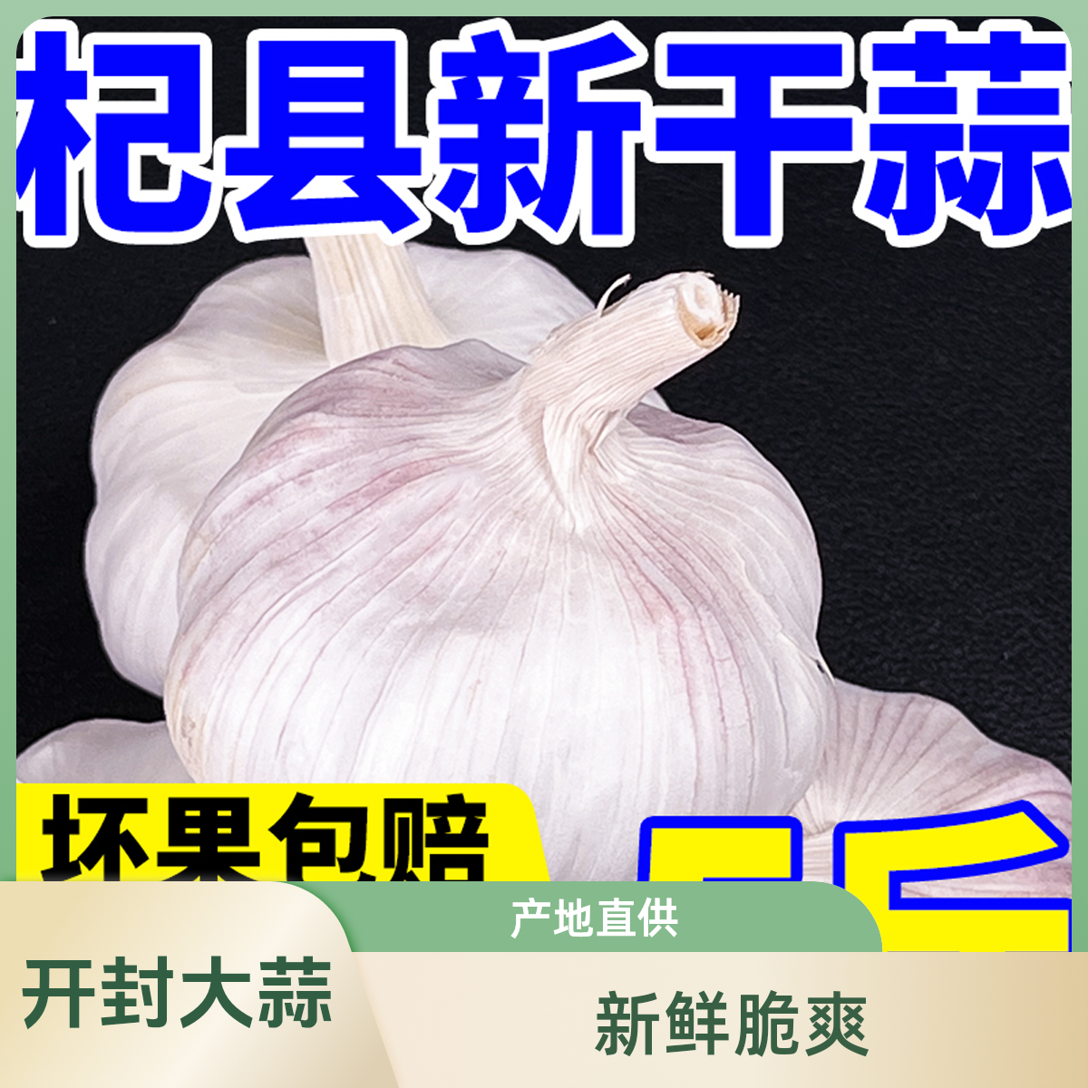 5斤精品大果2025年河南杞县大蒜当季特产农家自种紫白皮大蒜批发