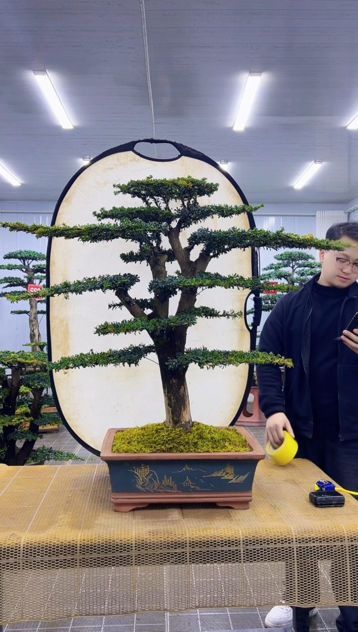 无花朵地***柿00000000000000