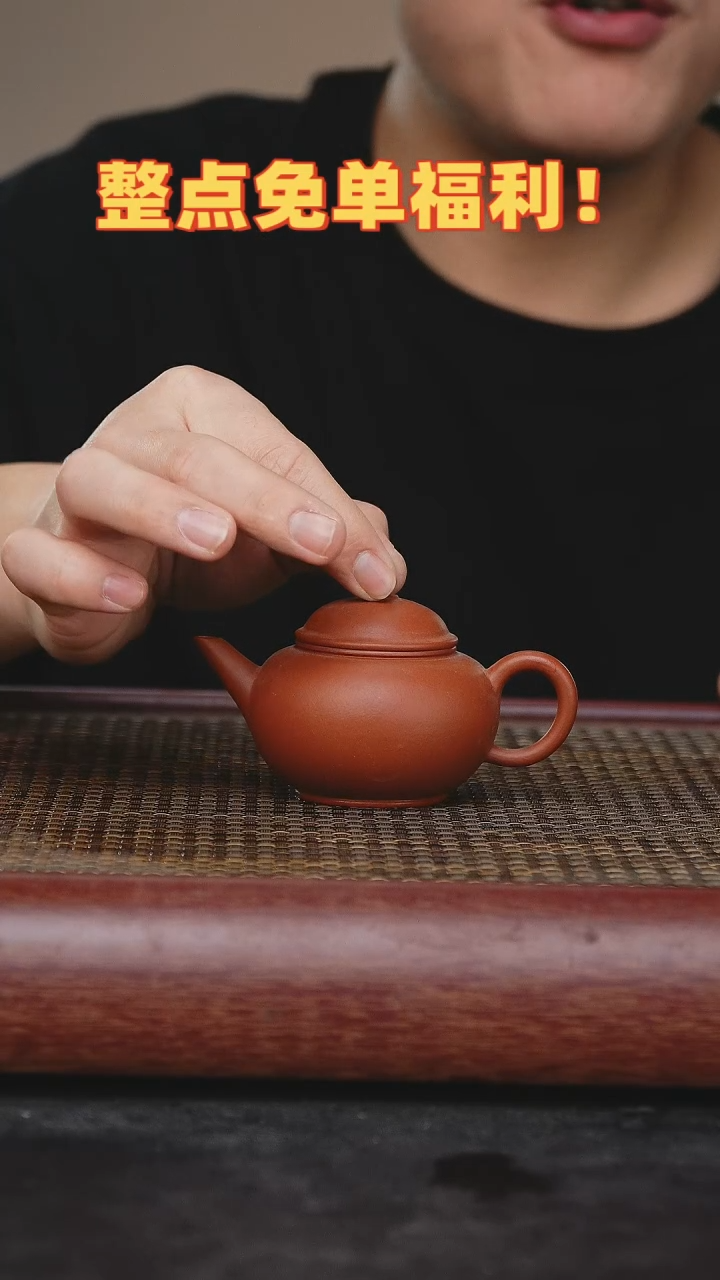 【闪购商品】紫砂茶壶宜兴原矿紫砂壶