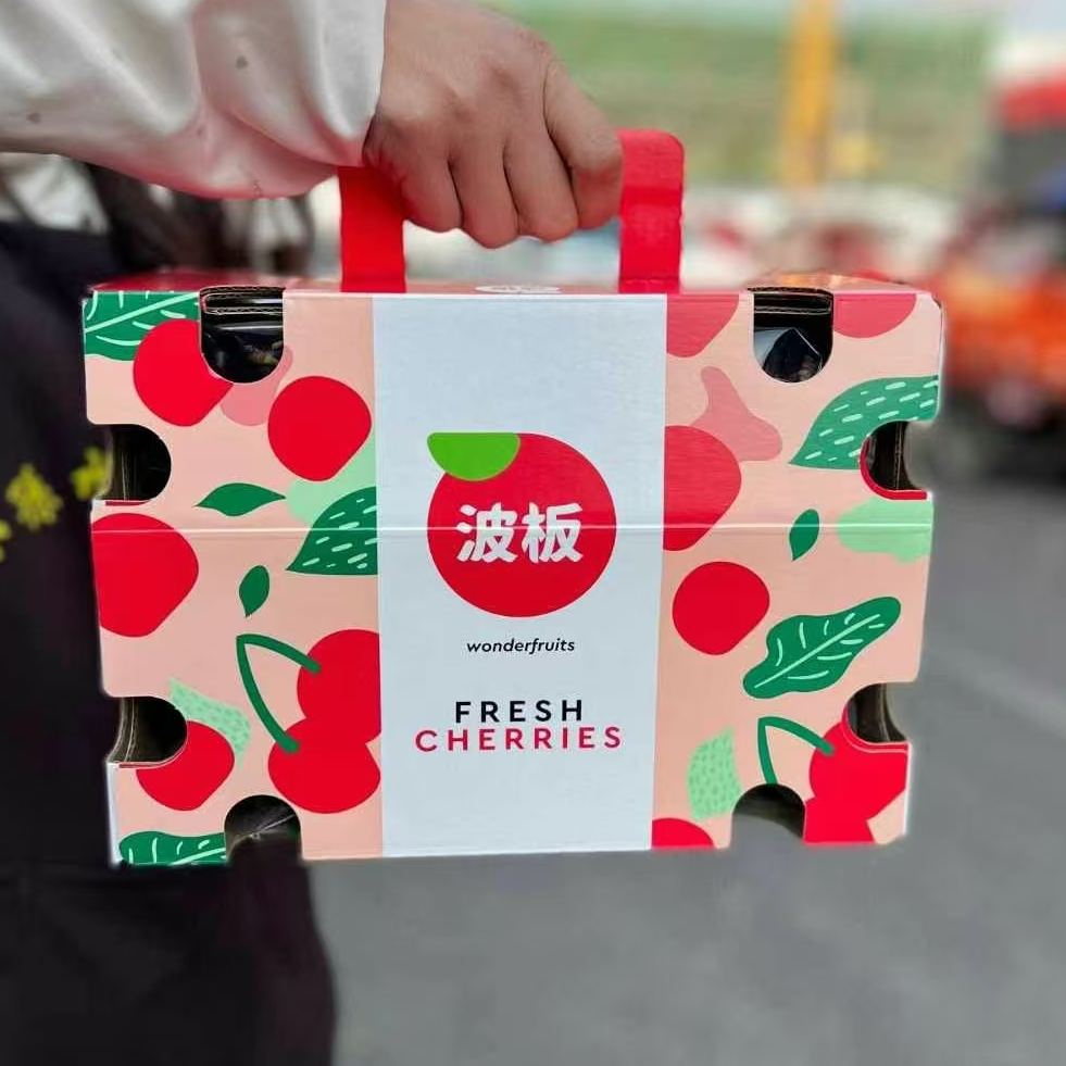 波板5JD海运智利拉宾斯车厘子5斤/10斤只发川渝 内附果径卡