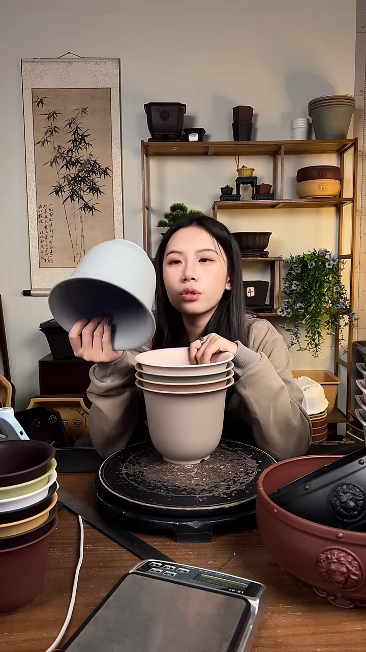 5只18口径金钟马卡龙色系