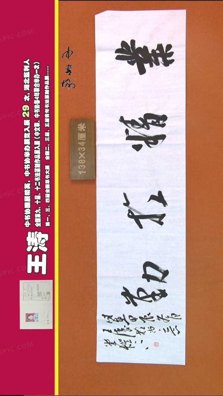 【闪购商品】书法238王涛书法作品