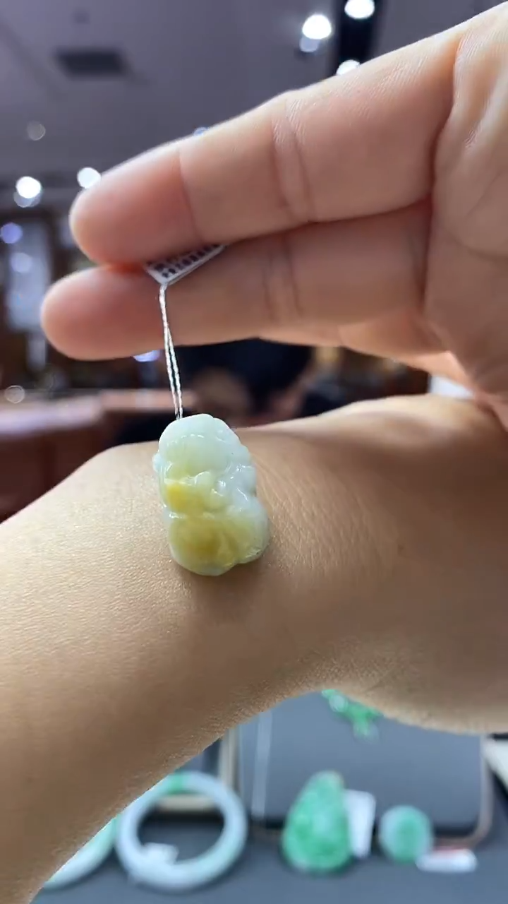 颈饰未镶嵌翡翠貔貅