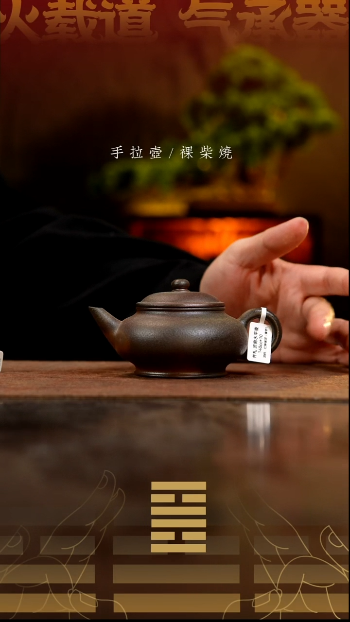 茶壶紫砂折肩水平壶292