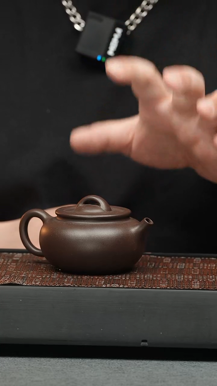 茶壶紫砂五堂 小河豚