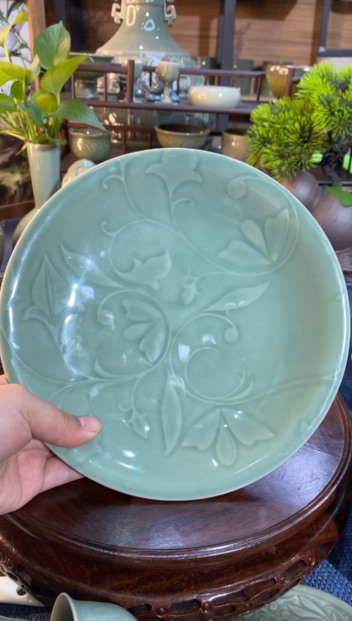 【闪购商品】8英寸玉兰圆盘微瑕b000005】1个