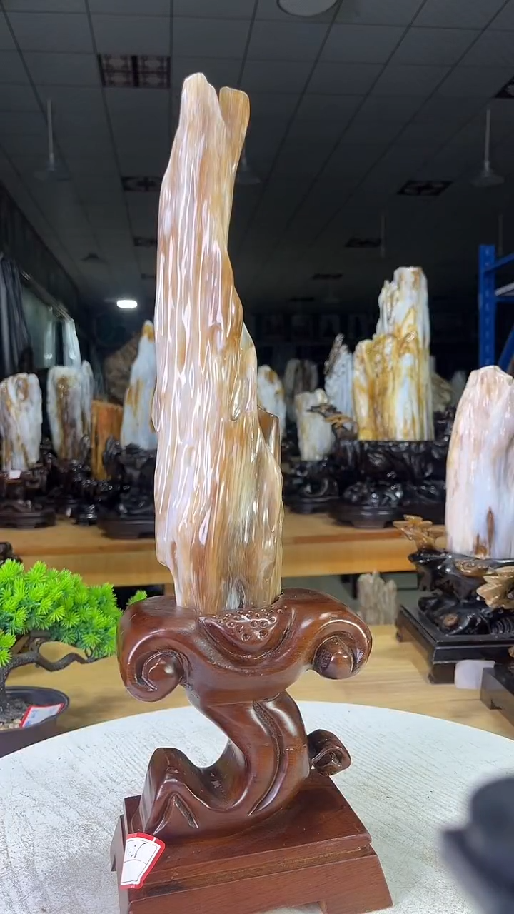 未镶嵌珠宝奇石硅化玉288