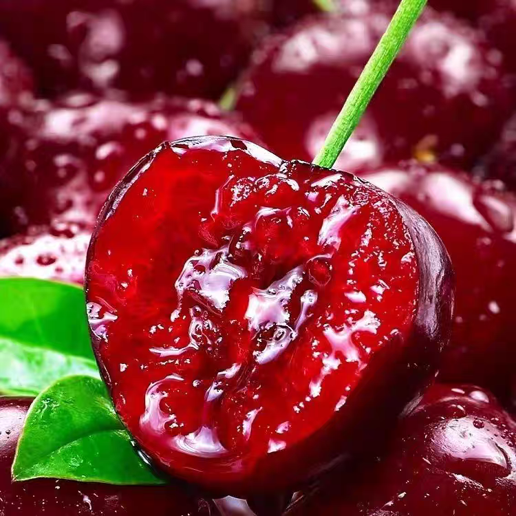 【现货包邮】4J智利空运车厘子新鲜水果大樱桃礼盒内附果径卡