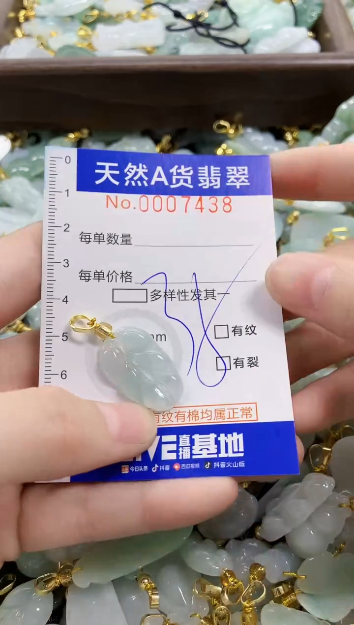 颈饰未镶嵌翡翠天然A货翡翠