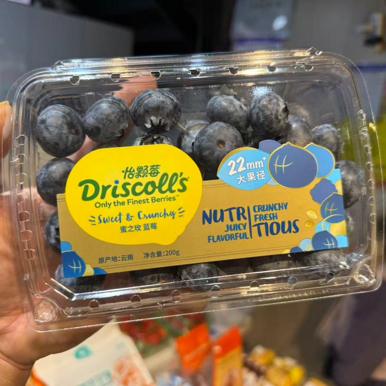 果切限量版怡颗莓蓝莓砖石巨无霸一盒200克
