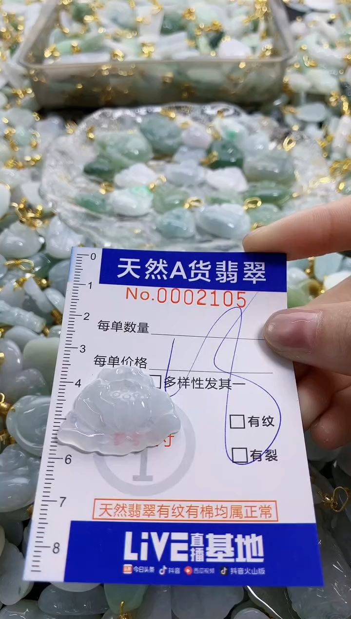 颈饰未镶嵌翡翠纯天然a货翡翠