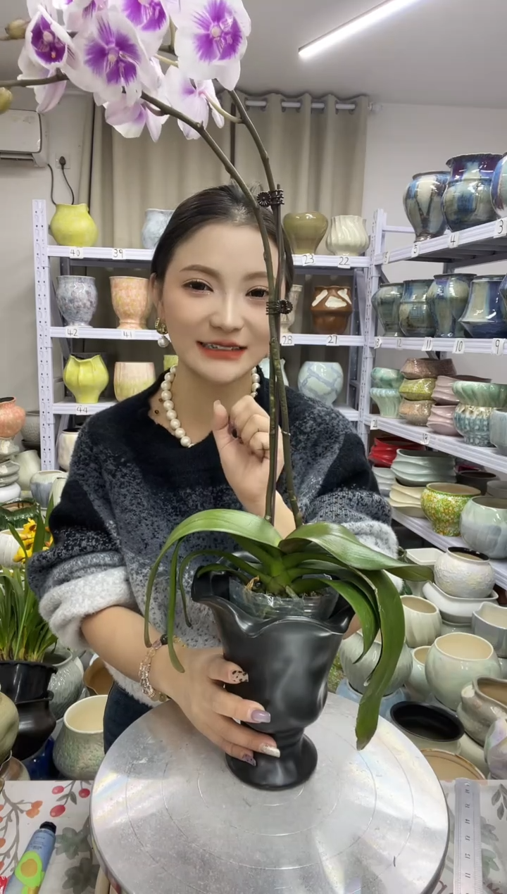 【花盆链接】  高 ：25 口：12