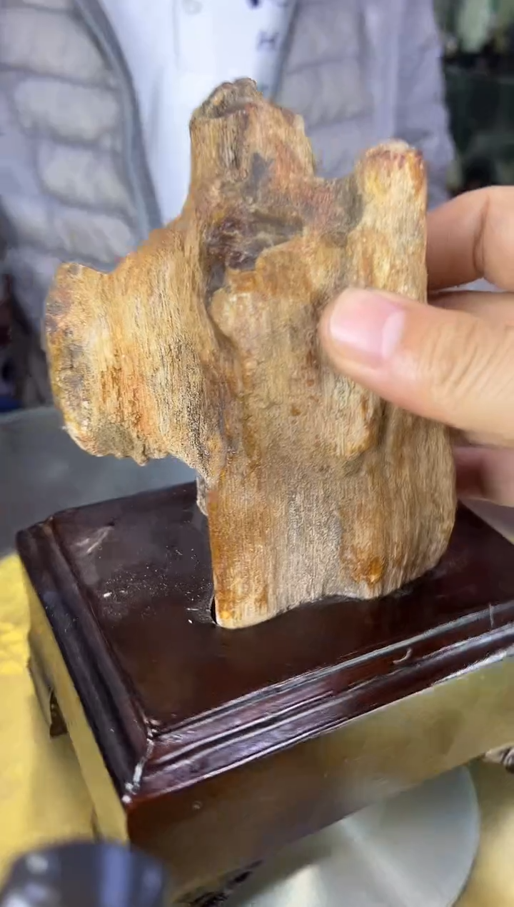 未镶嵌珠宝奇石硅化玉缅甸天然树化玉摆件