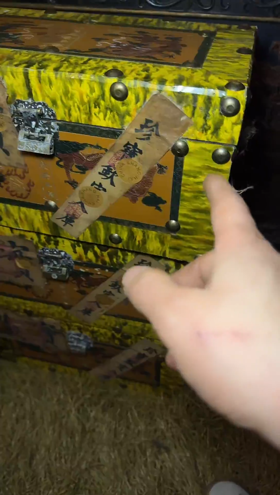 木----------福利---------