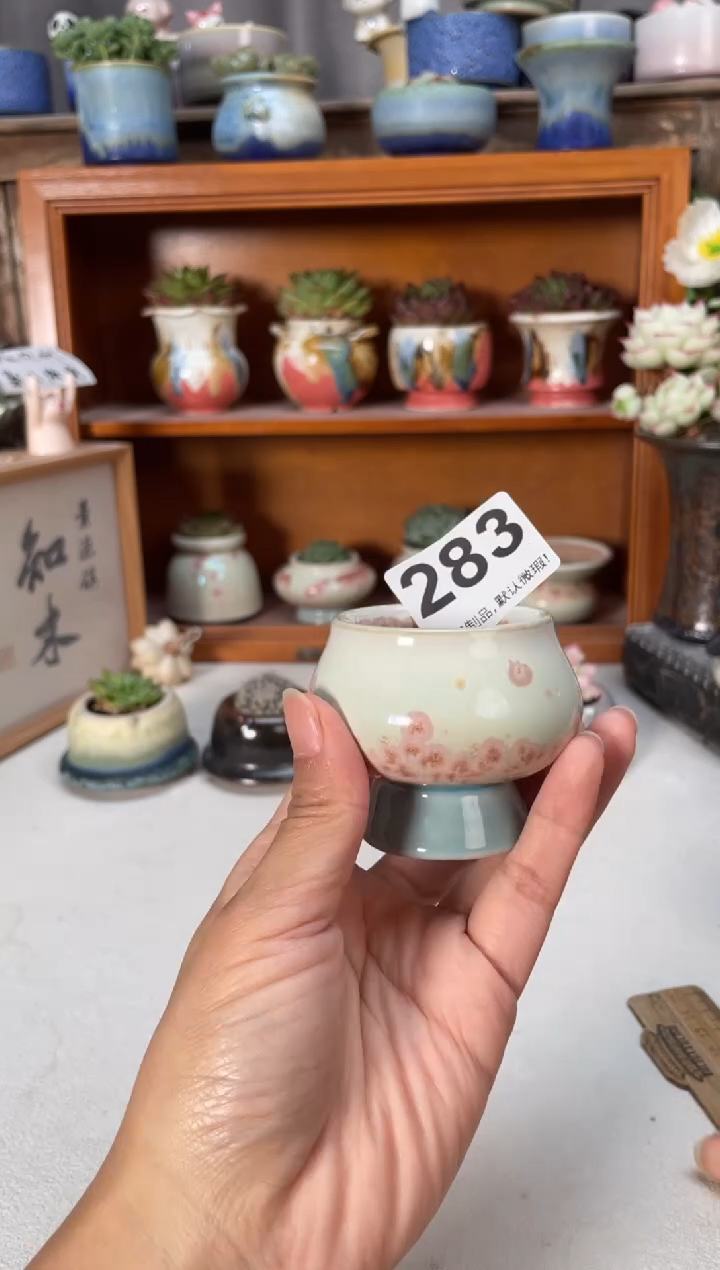 瓷片283小芳直播编号