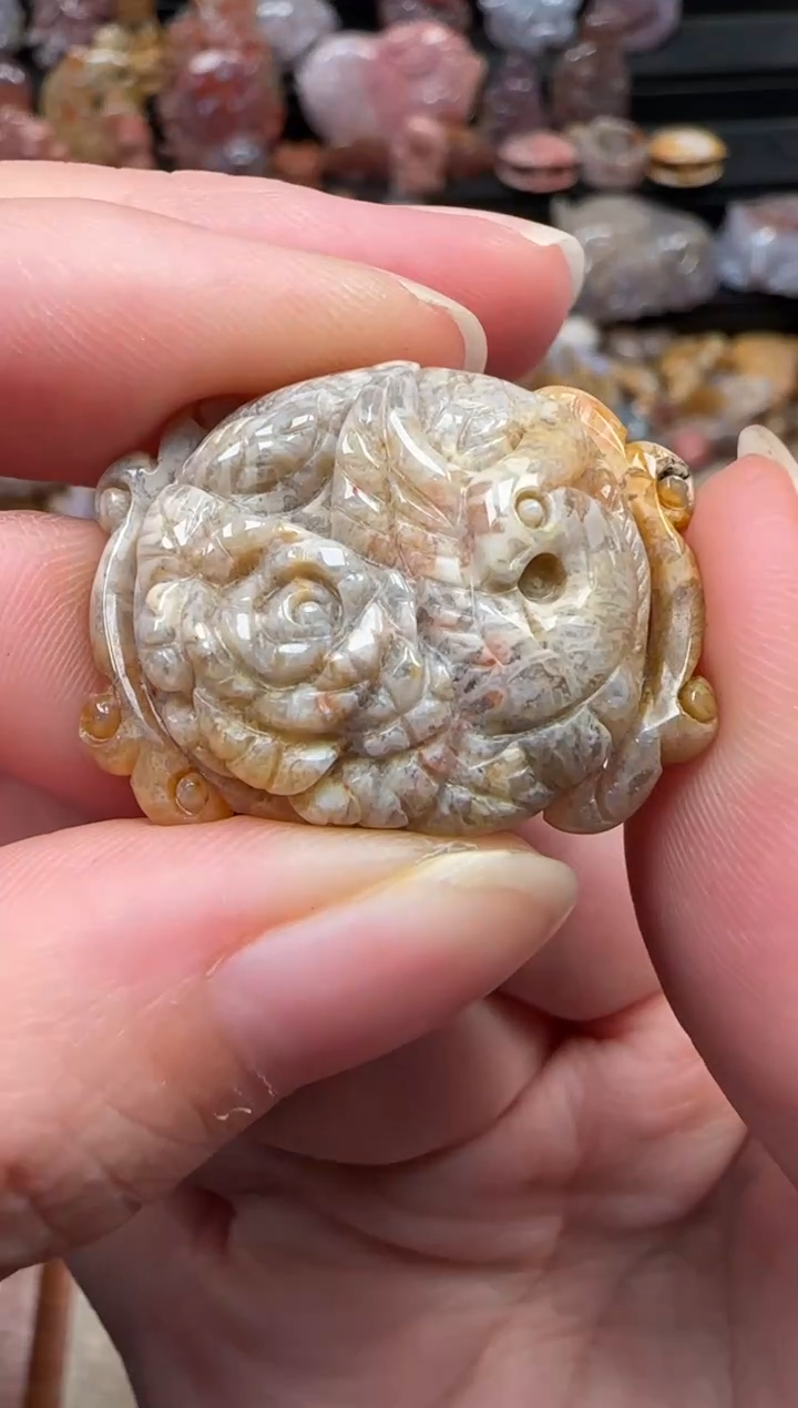 颈饰未镶嵌硅化珊瑚（珊瑚玉）295