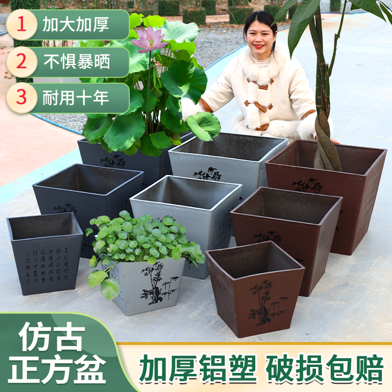 【直播】方形花盆茶花专用花盆捡漏四方大号花盆方形大花盆上档