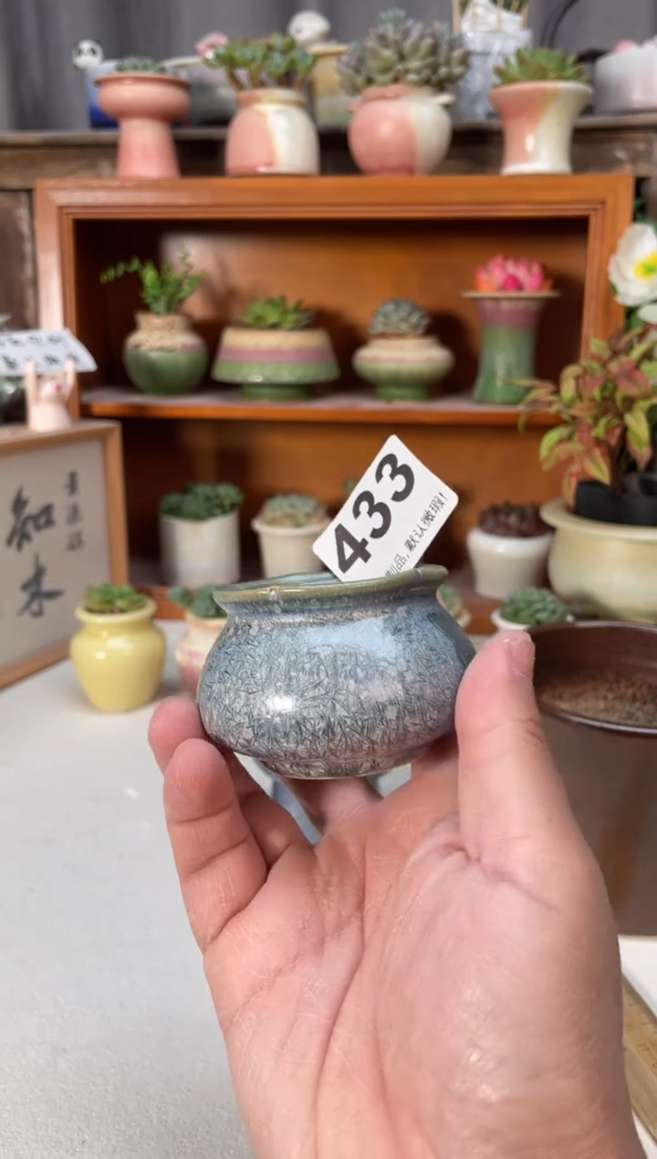 瓷片433小芳直播编号