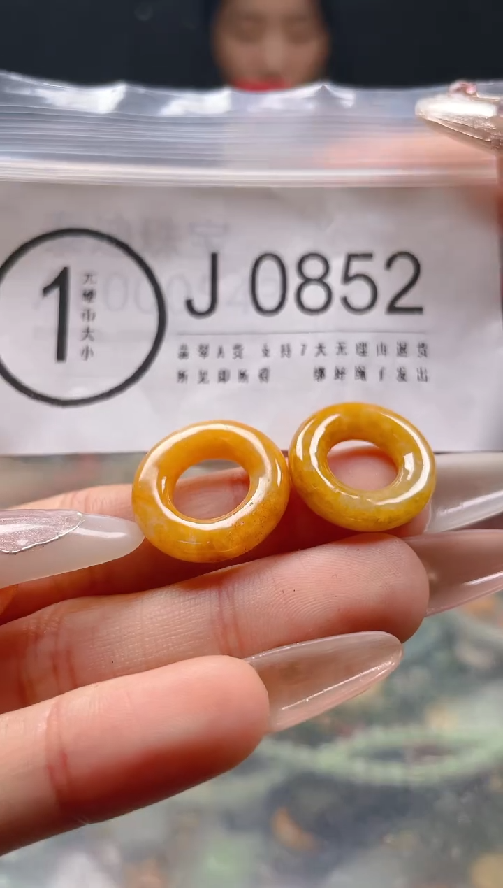 【闪购商品】翡翠颈饰未镶嵌/J/翡翠A货一图一物