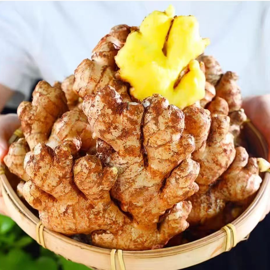 5斤装云南小黄姜新鲜现挖现发老姜辛辣适中鲜味浓郁月子姜