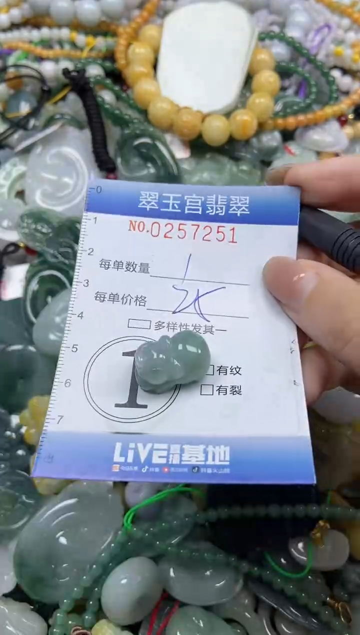 颈饰未镶嵌翡翠闪购C0257251