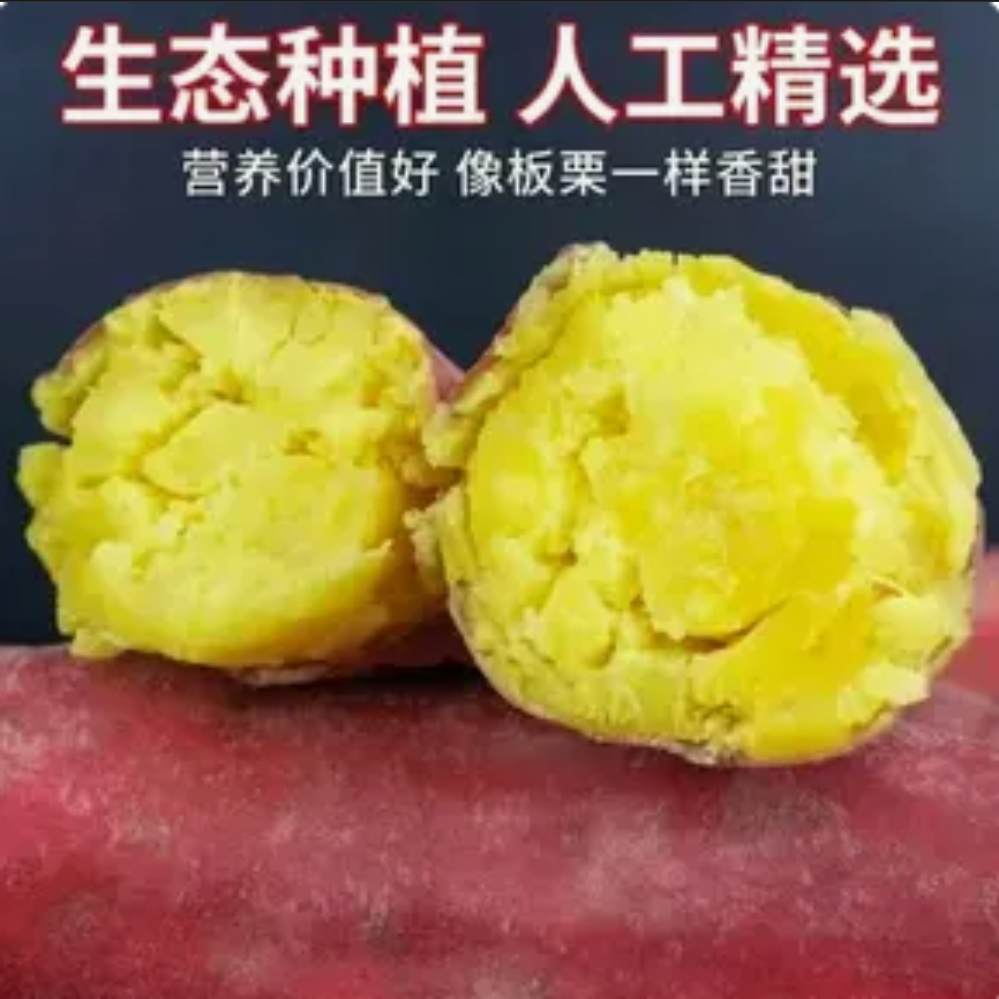 【买三斤送两斤】新鲜现挖板栗红薯粉糯香甜农家自种
