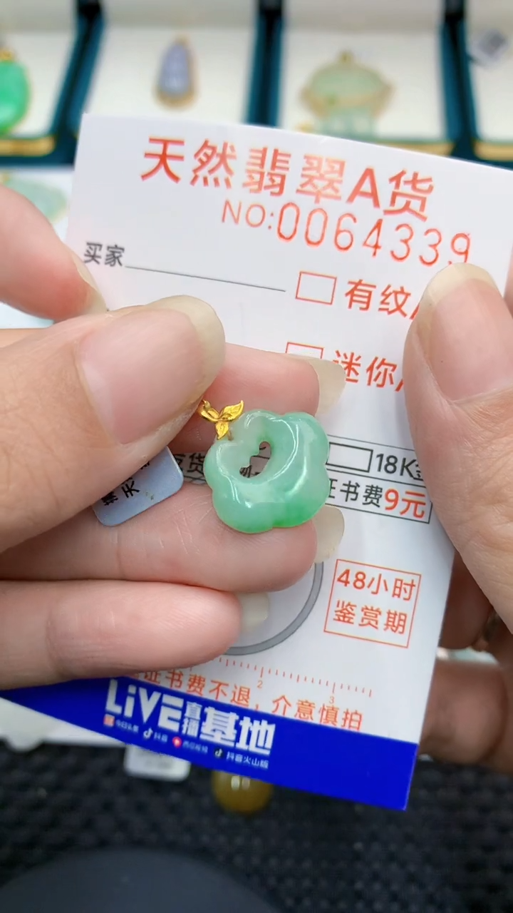 【闪购商品】翡翠颈饰18K金镶嵌            8