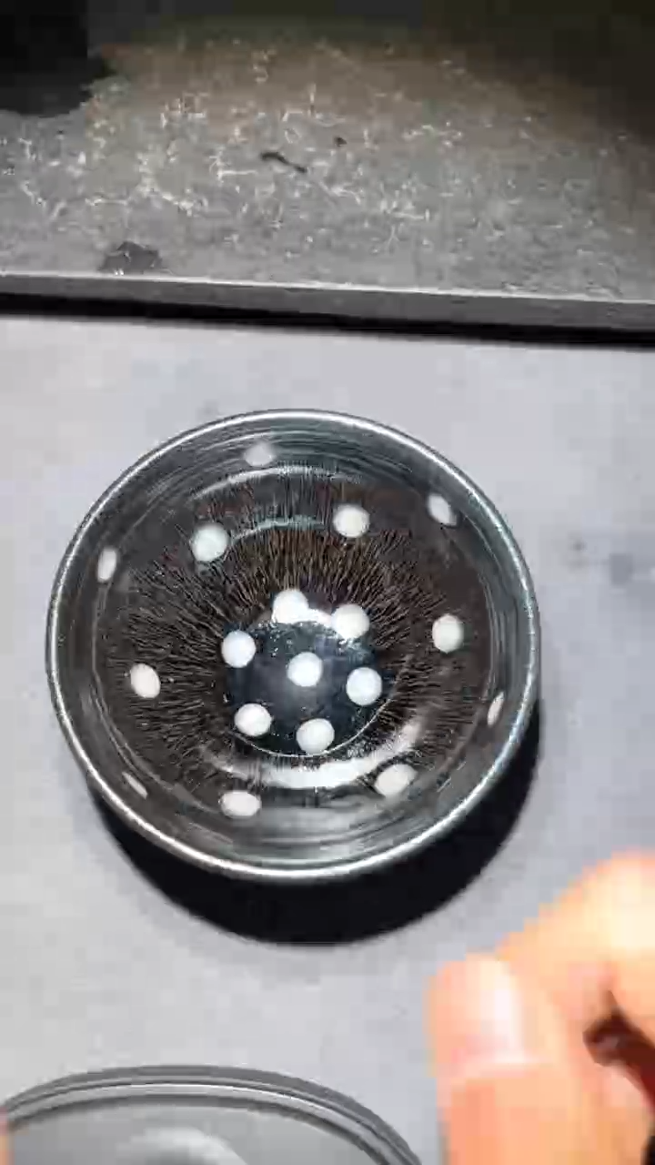 【闪购商品】茶盏名家建盏胡金花（带证书礼盒）24