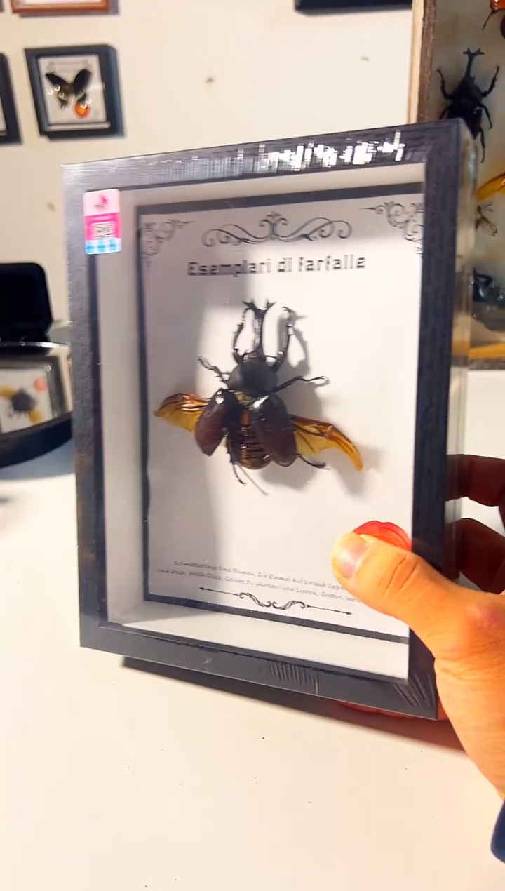 有机玻璃151518158