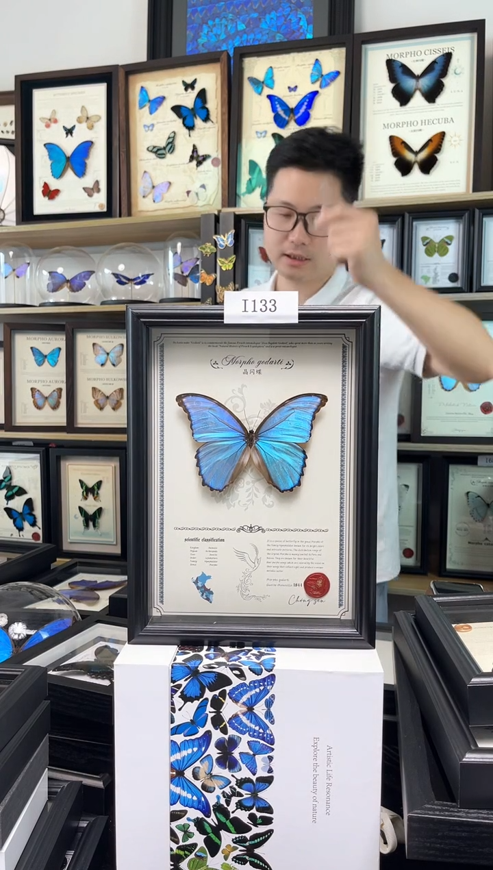 【微瑕福利】晶闪蝶 A4豪华版 i133