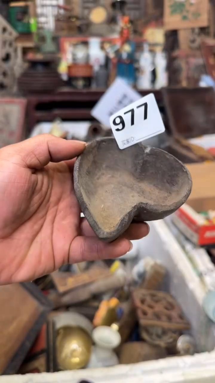 博**览11111111111122222