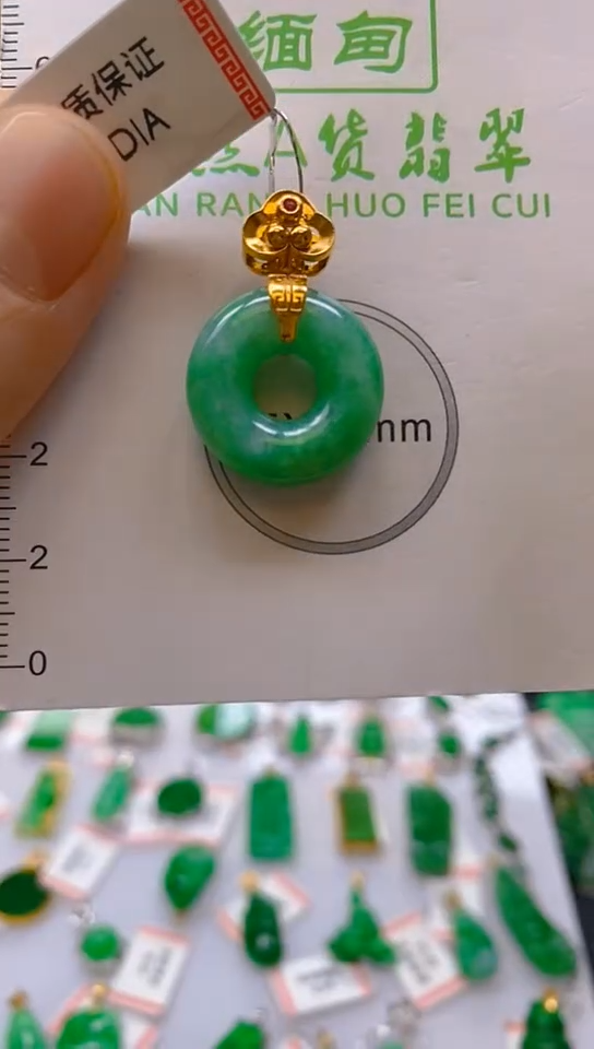 【闪购商品】翡翠颈饰18K金镶嵌新号开播，全场乱卖