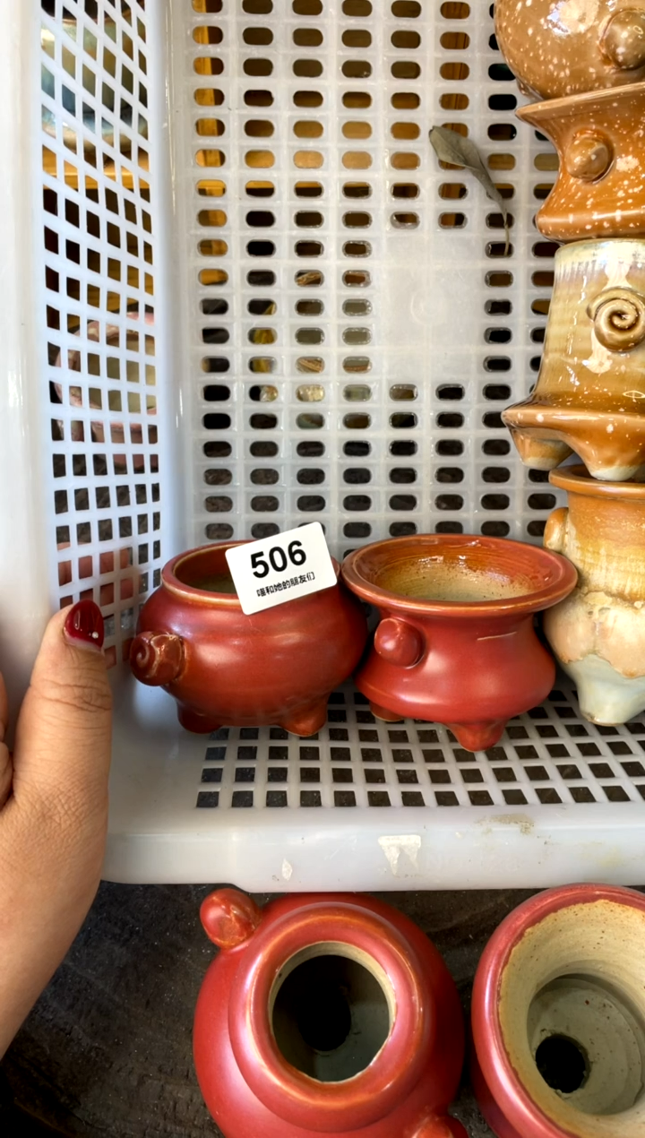 【闪购商品】陶506