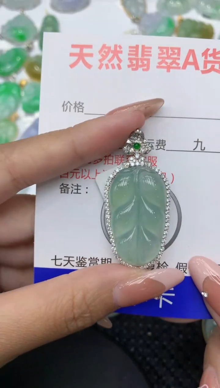 【闪购商品】翡翠颈饰18K金镶嵌111111111