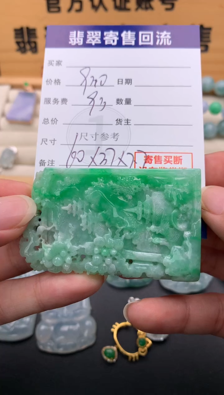 翡翠未镶嵌颈饰10142508