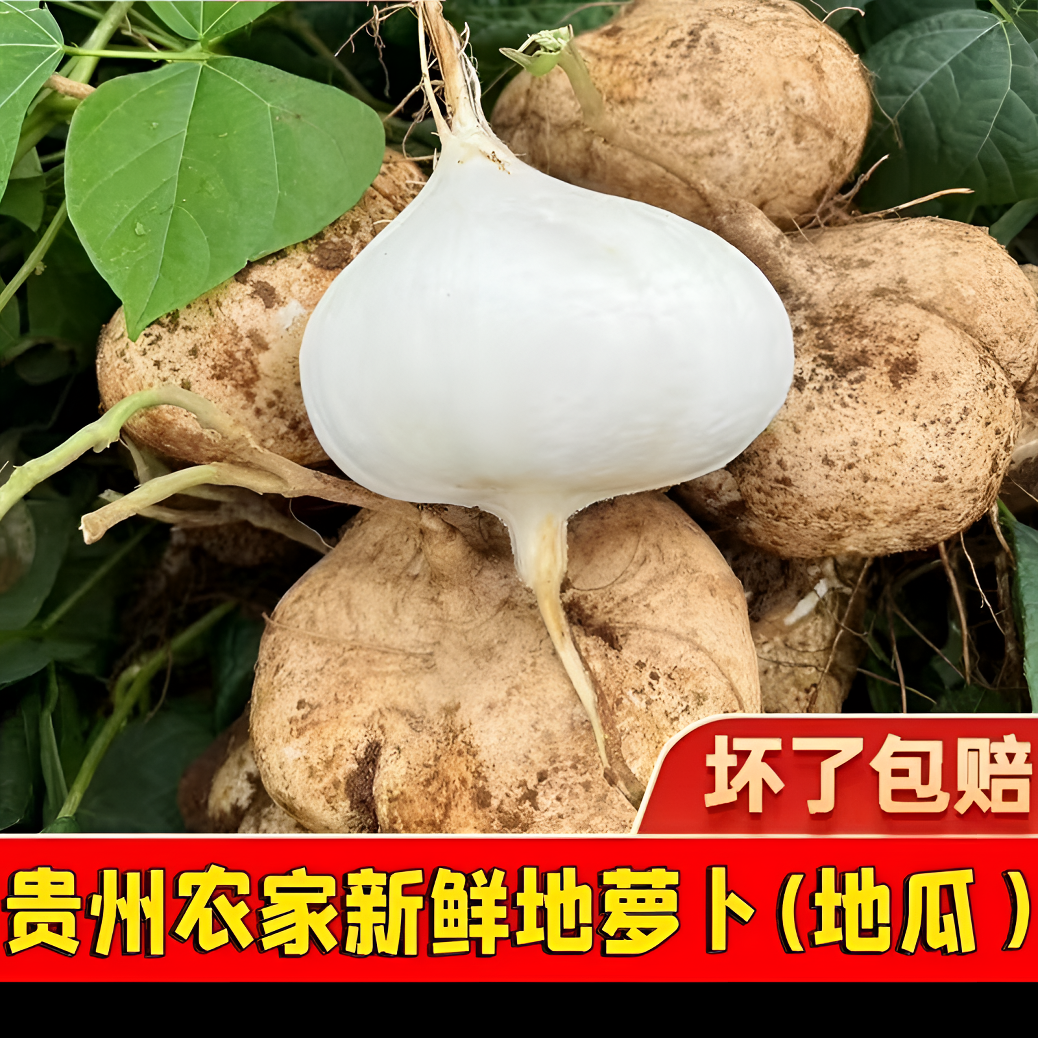 （贵州地萝卜）新鲜凉薯白地瓜现摘沙葛3/5/9斤皮薄肉厚脆甜多汁
