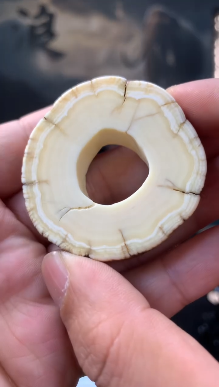 【闪购商品】橄榄核手串/手链猛犸猛犸猛犸猛犸33