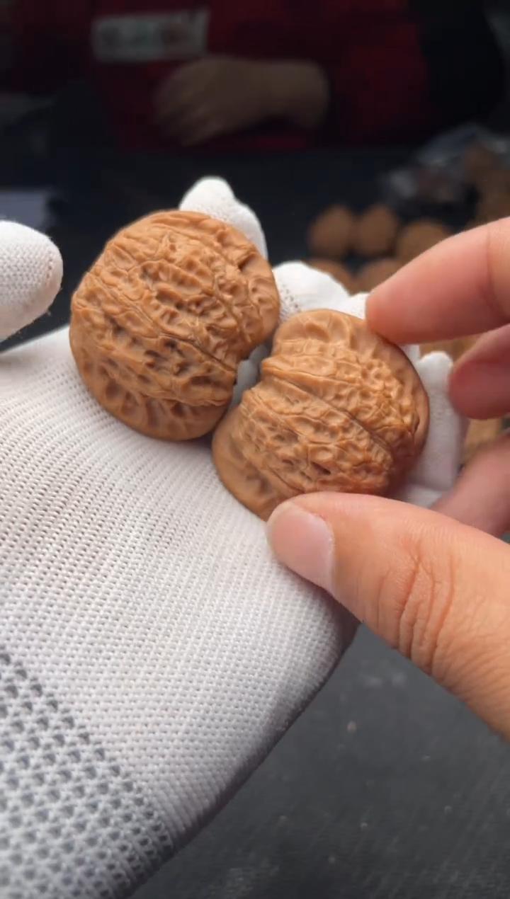 核桃a66  血麒麟 40尺