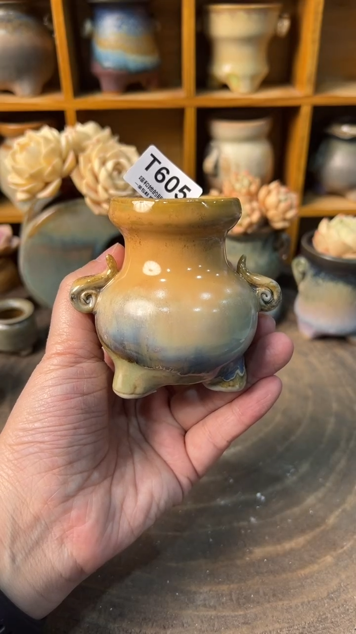 605 内口4【多肉花盆多肉盆】