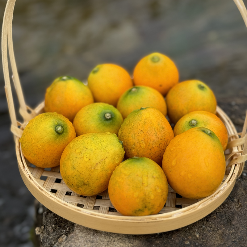 【大乐鲜果 顺丰快递】广西融安脆蜜金桔2斤装（第三代金桔）