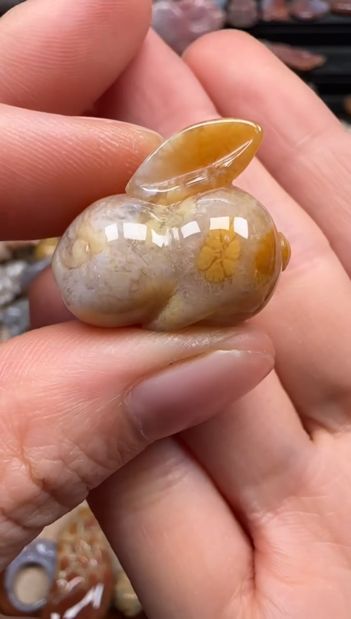 【闪购商品】硅化珊瑚（珊瑚玉）颈饰未镶嵌735