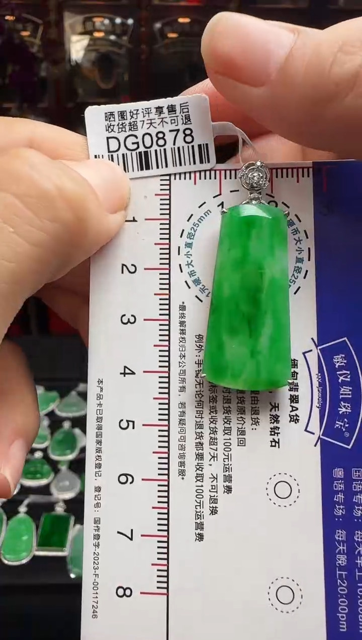 【闪购商品】翡翠颈饰18K金镶嵌DG0878冰绿无事牌