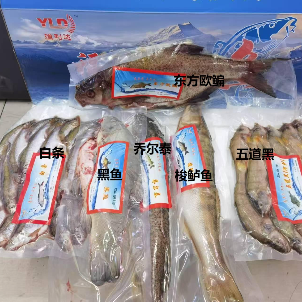 【如月甄选】福海冷水鱼礼盒装6种/5千克/盒