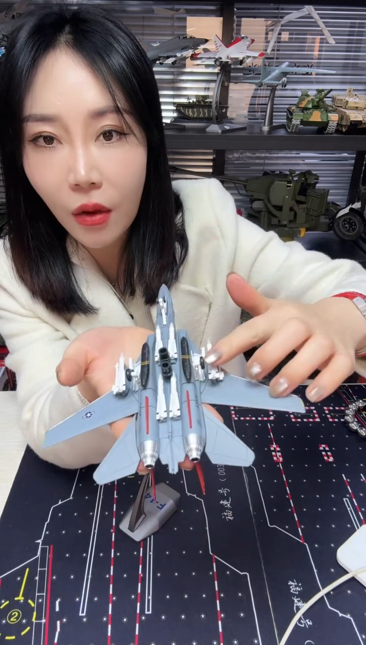 1/100合金飞机模型 ， F14