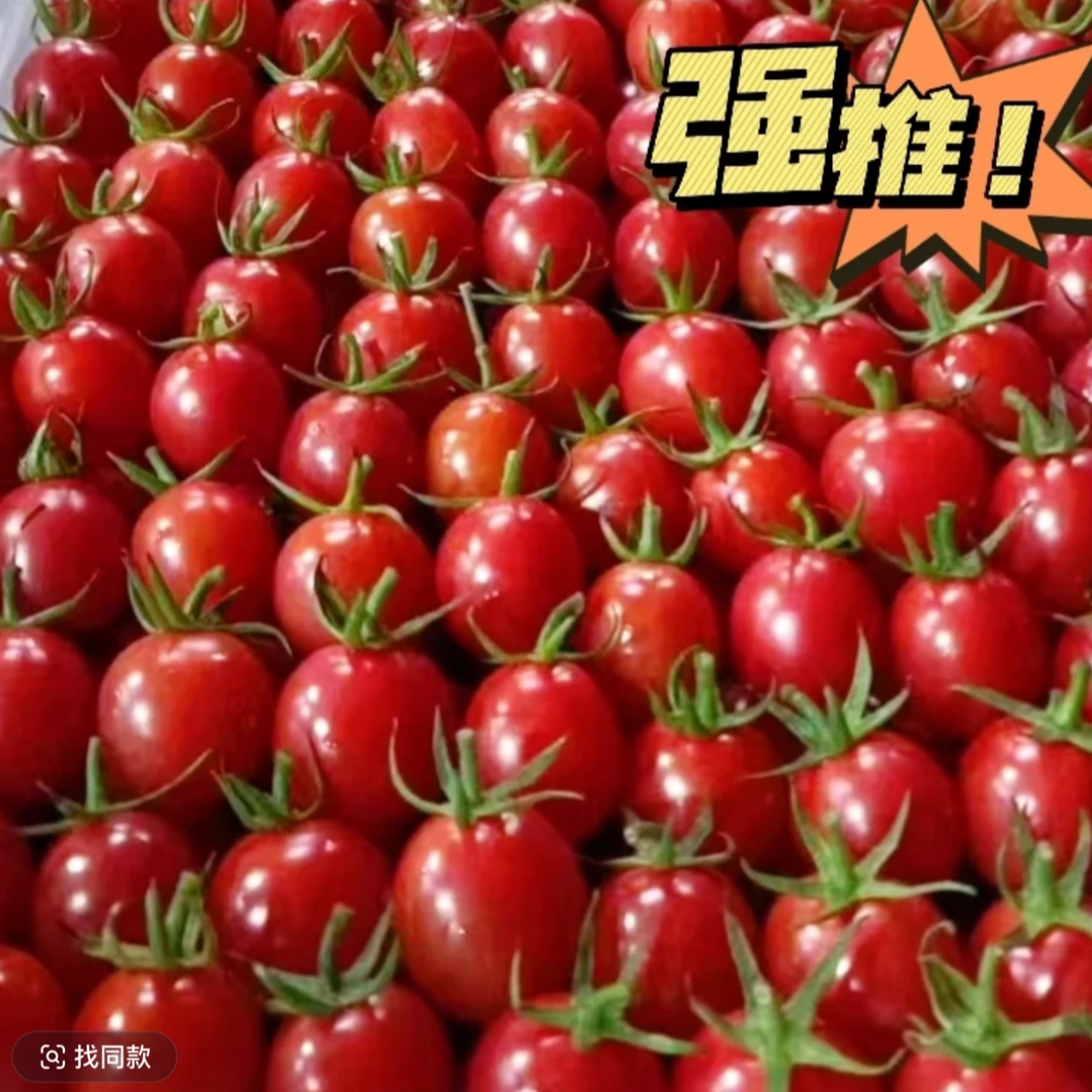 【汇峰农场1】正宗广东电白小番茄千禧圣女果净重5斤（顺丰/京东随机