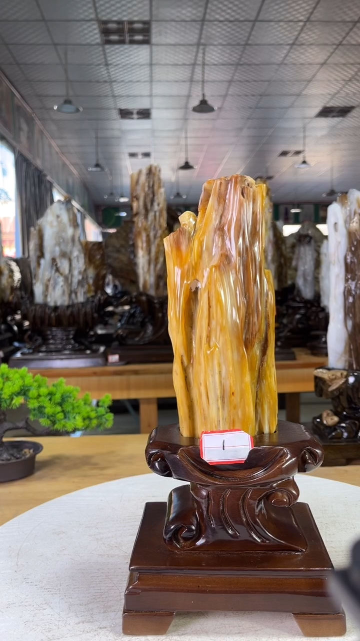 未镶嵌珠宝奇石硅化玉500