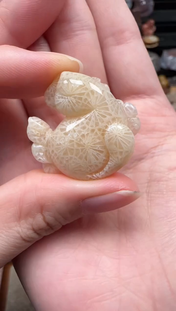 颈饰未镶嵌硅化珊瑚（珊瑚玉）116