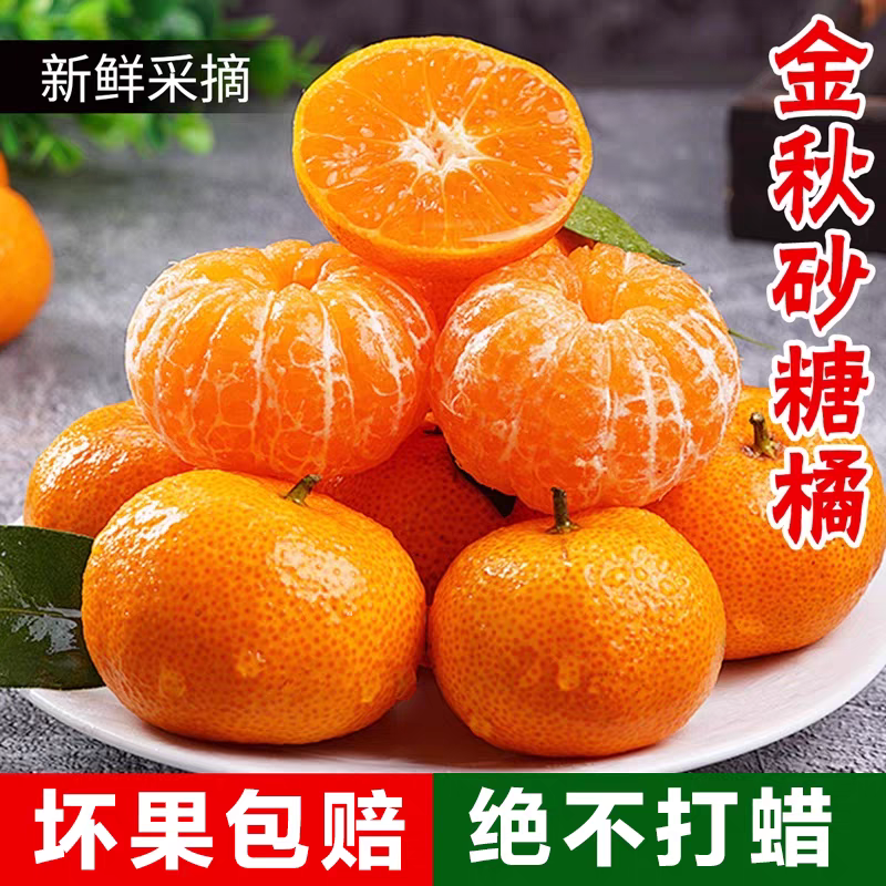 【整箱5斤】正宗广西沙糖桔新鲜水果西林金秋砂糖橘蜜桔无籽小橘子